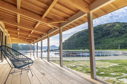 壹岐海豚公园-3