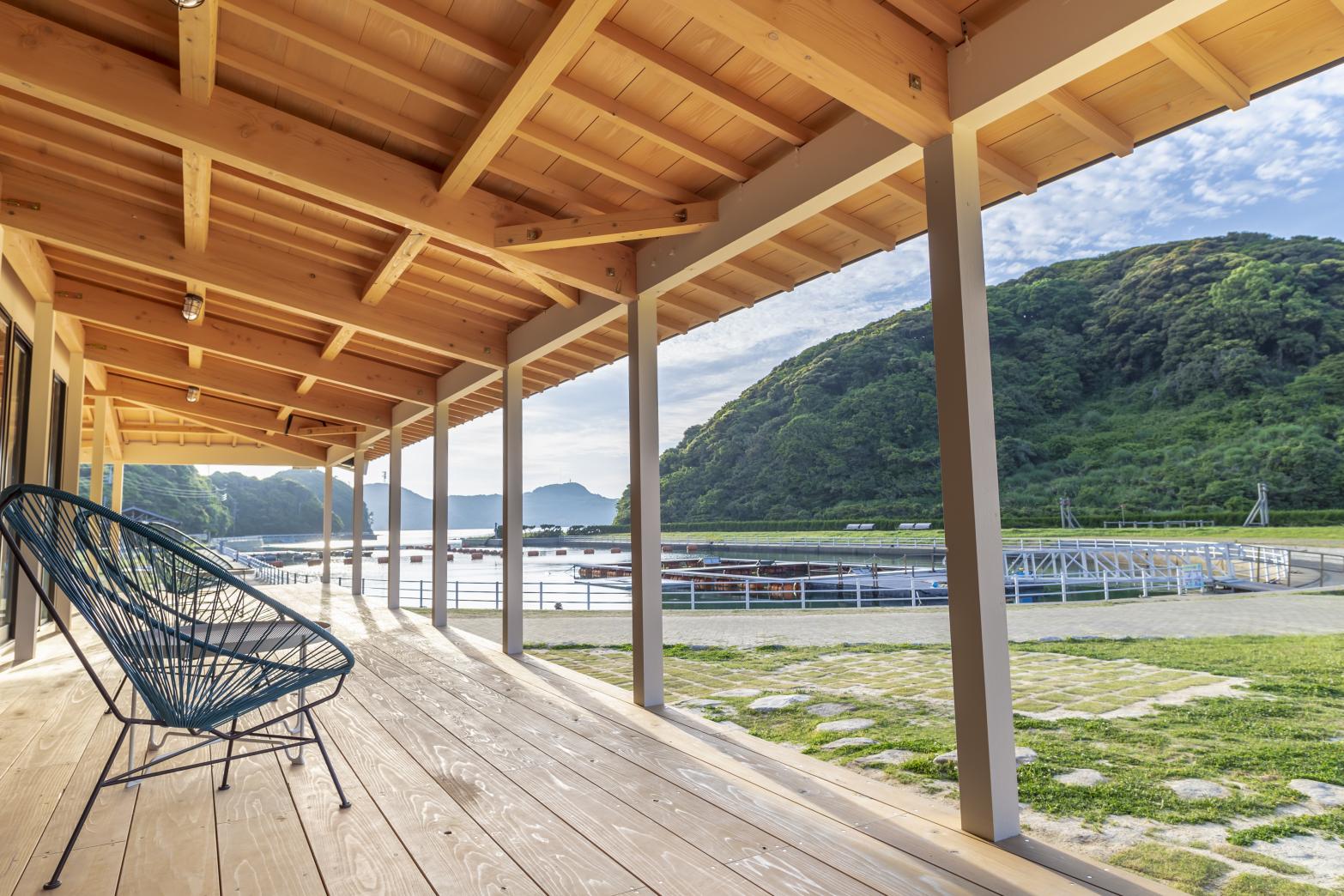 壹岐海豚公園-3