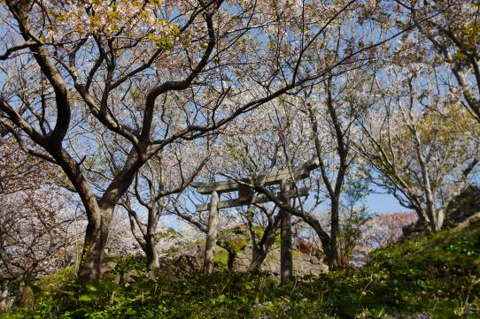 Site of Katsumoto Castle-9