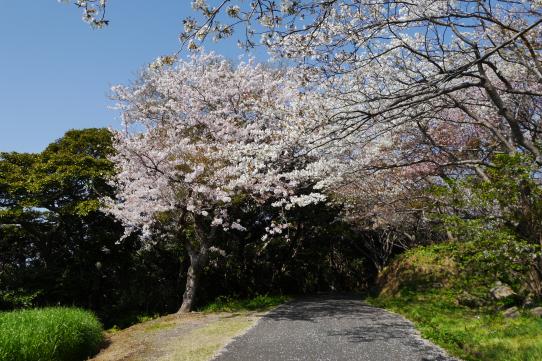 Site of Katsumoto Castle-8