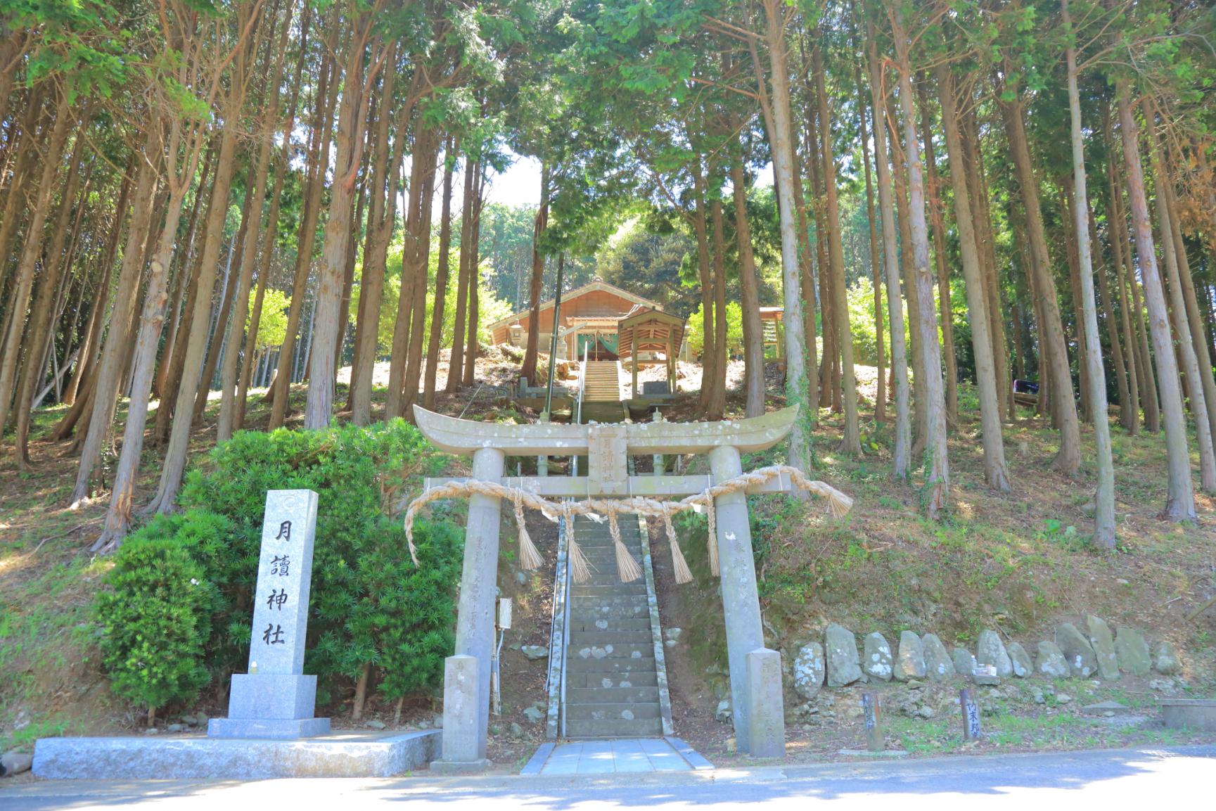 日本神道発祥の地 月讀神社-1