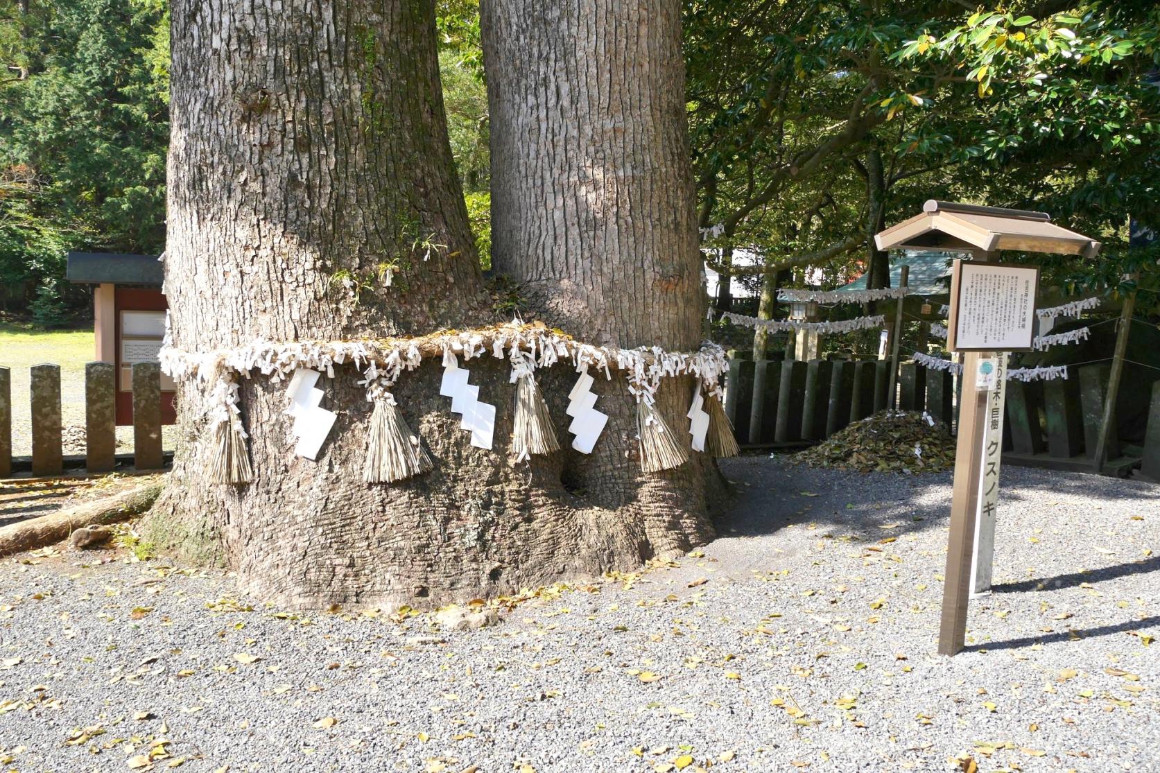 Sumiyoshi Shrine-5