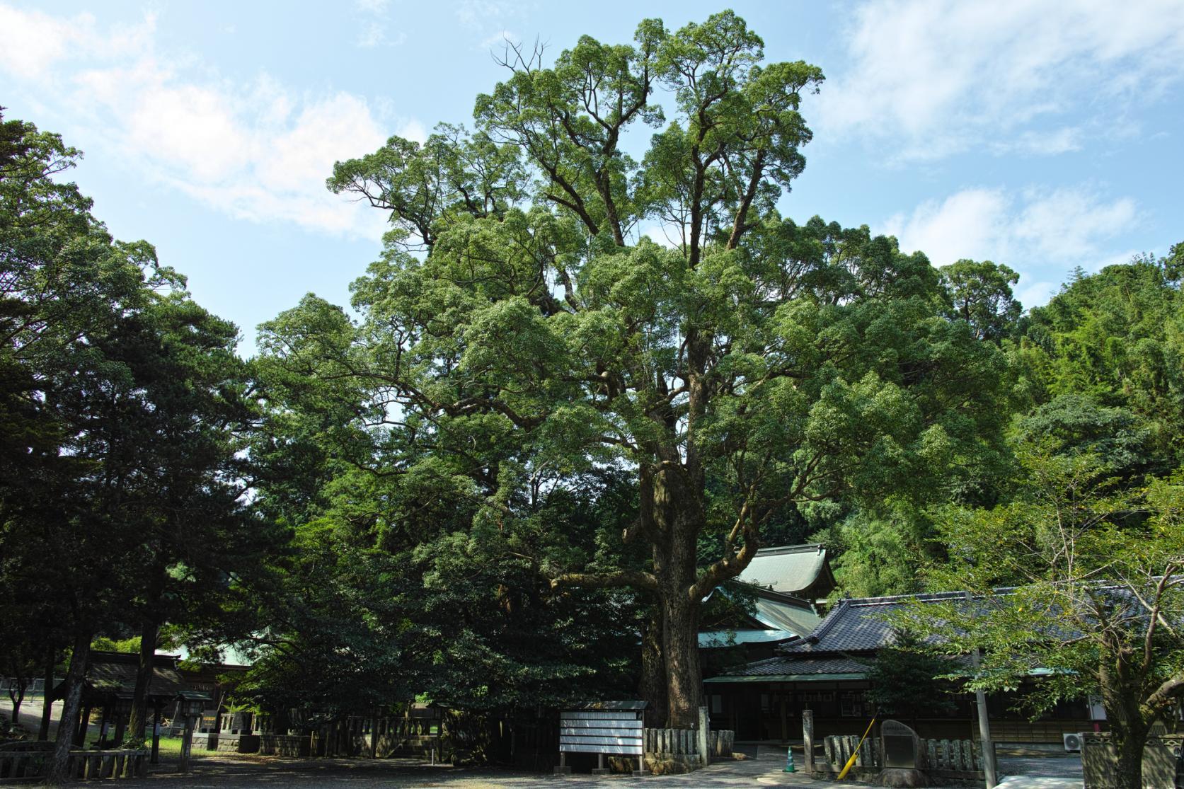 住吉神社-2