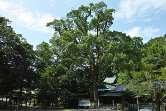 Sumiyoshi Shrine-2