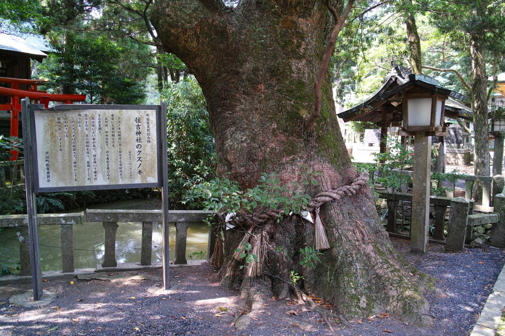 Sumiyoshi Shrine-3