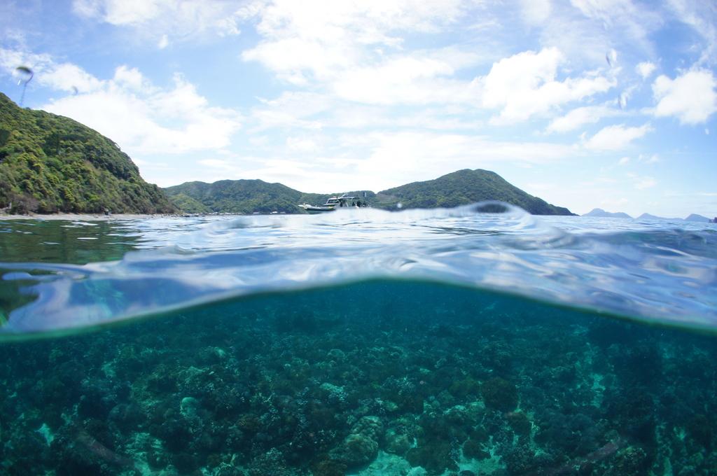 上五島の海中散歩（体験ダイビング）-1