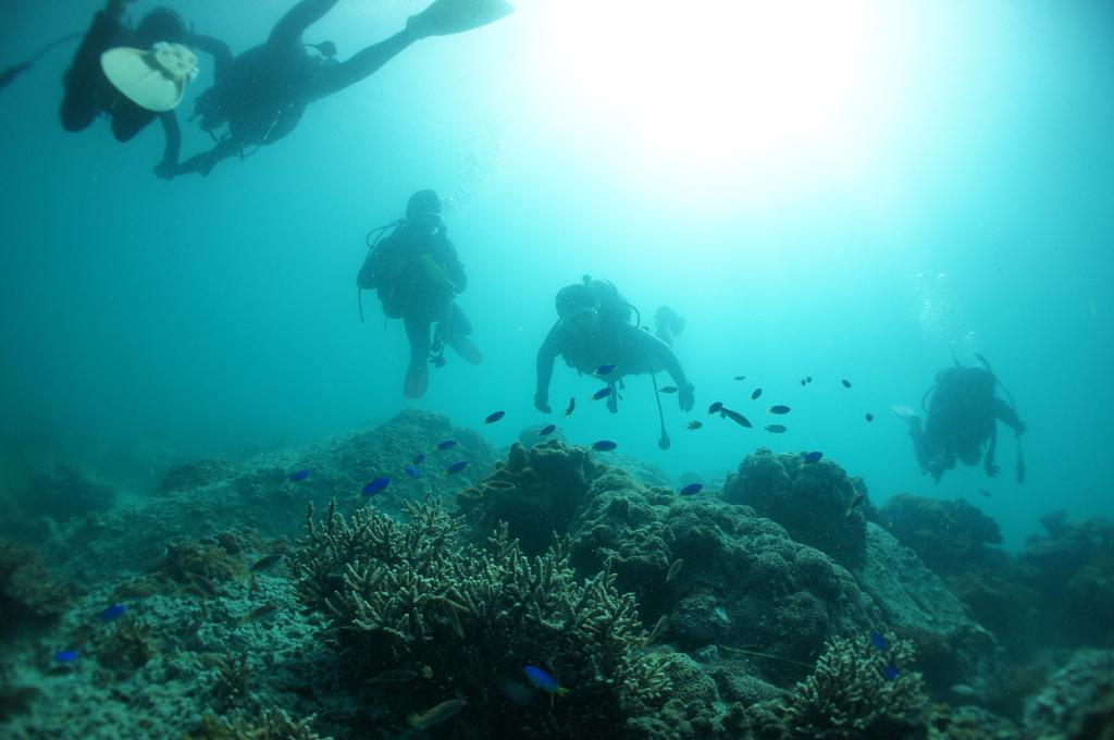 A Walk Underwater in Kamigoto (Diving Workshop)-0