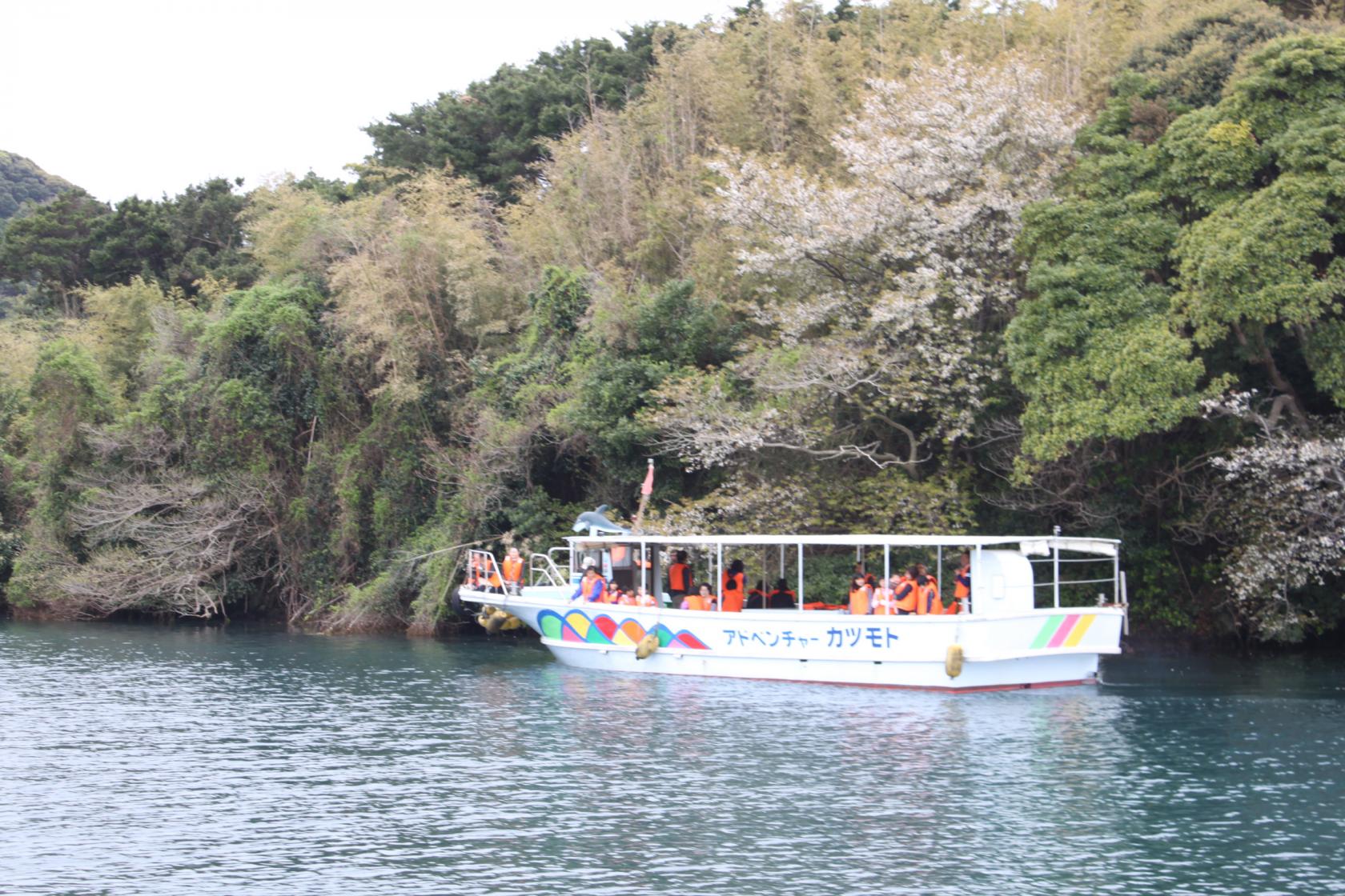 【2023年の運行は休止】海上山桜遊覧-0