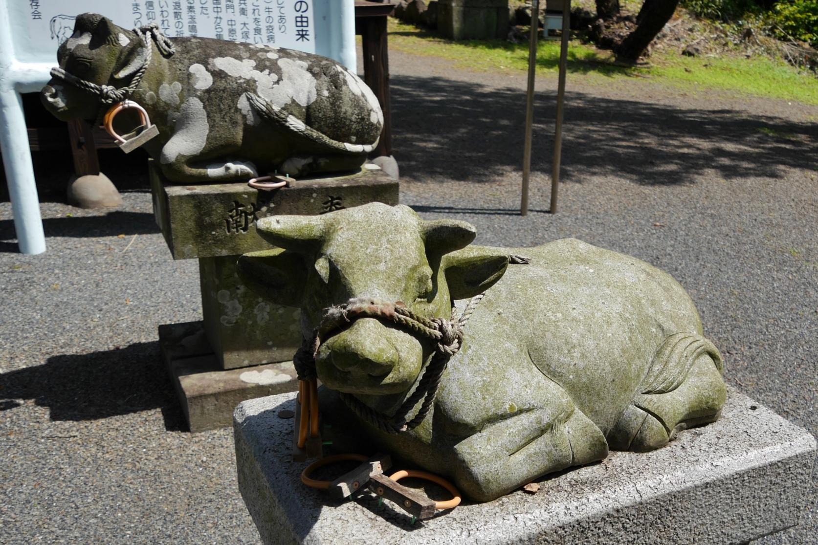 津神社-2