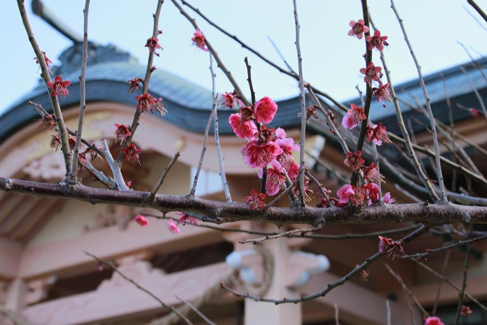 有川神社-9