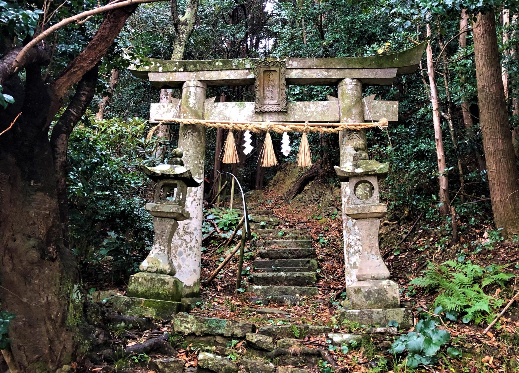 大地主神社-0