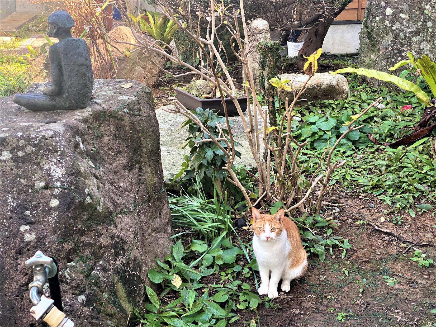 専念寺-6