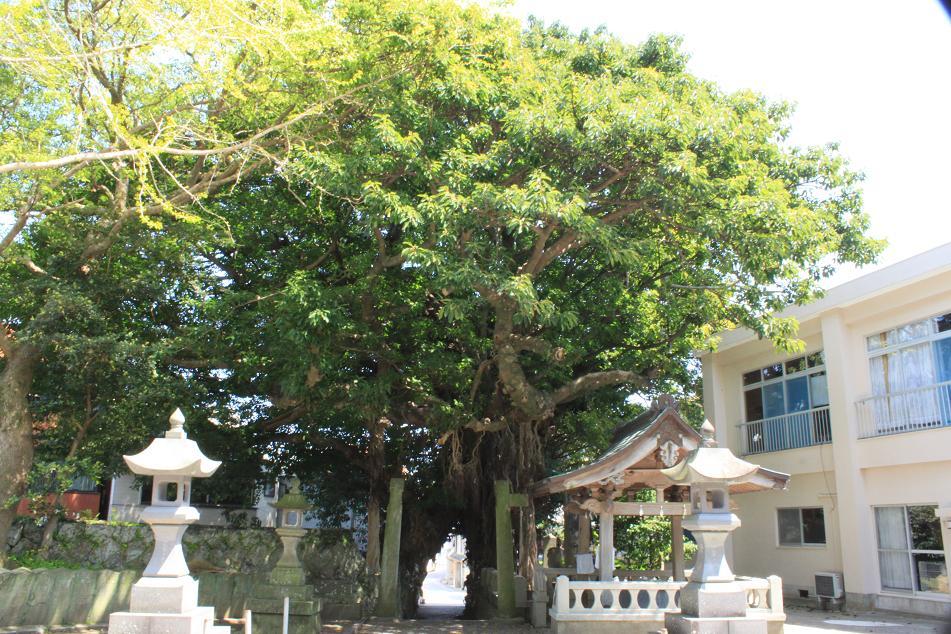 奈良尾神社-8