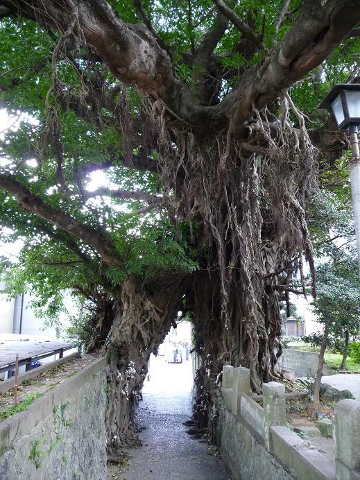 奈良尾神社-1