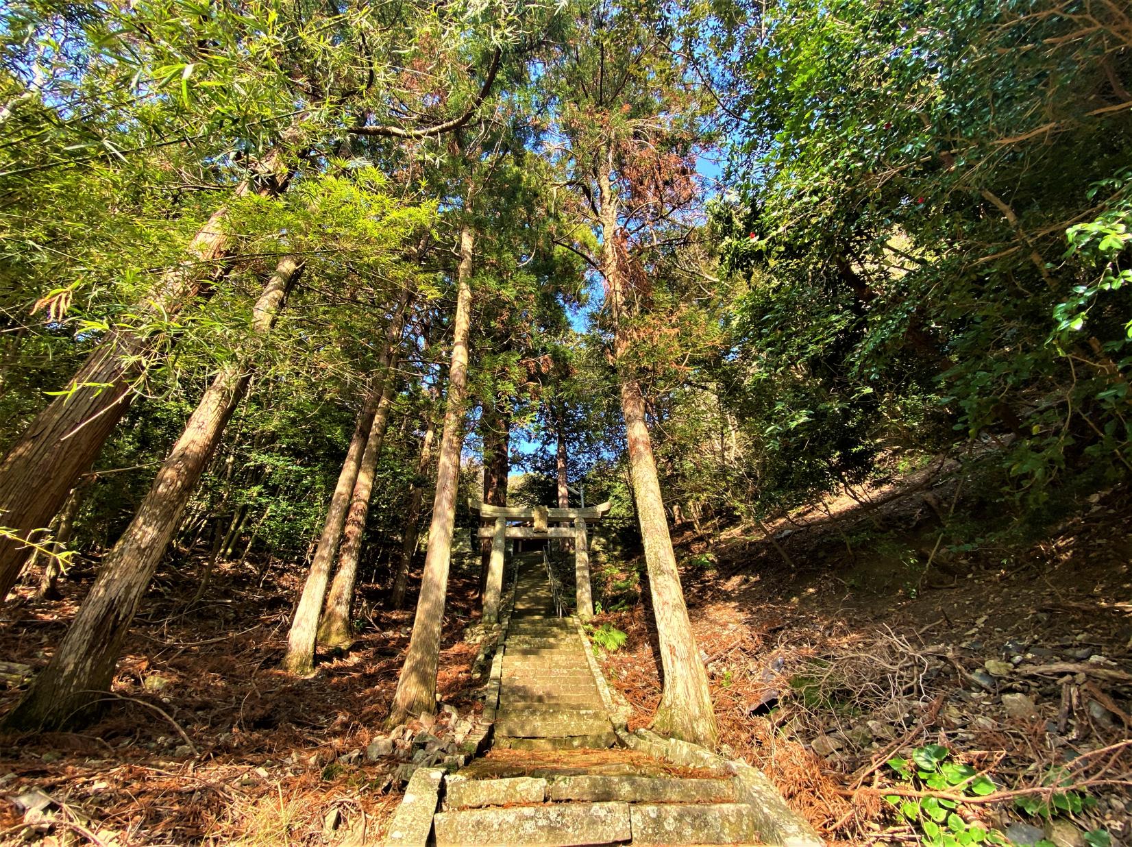 若松神社-2