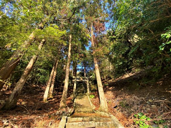 若松神社-2