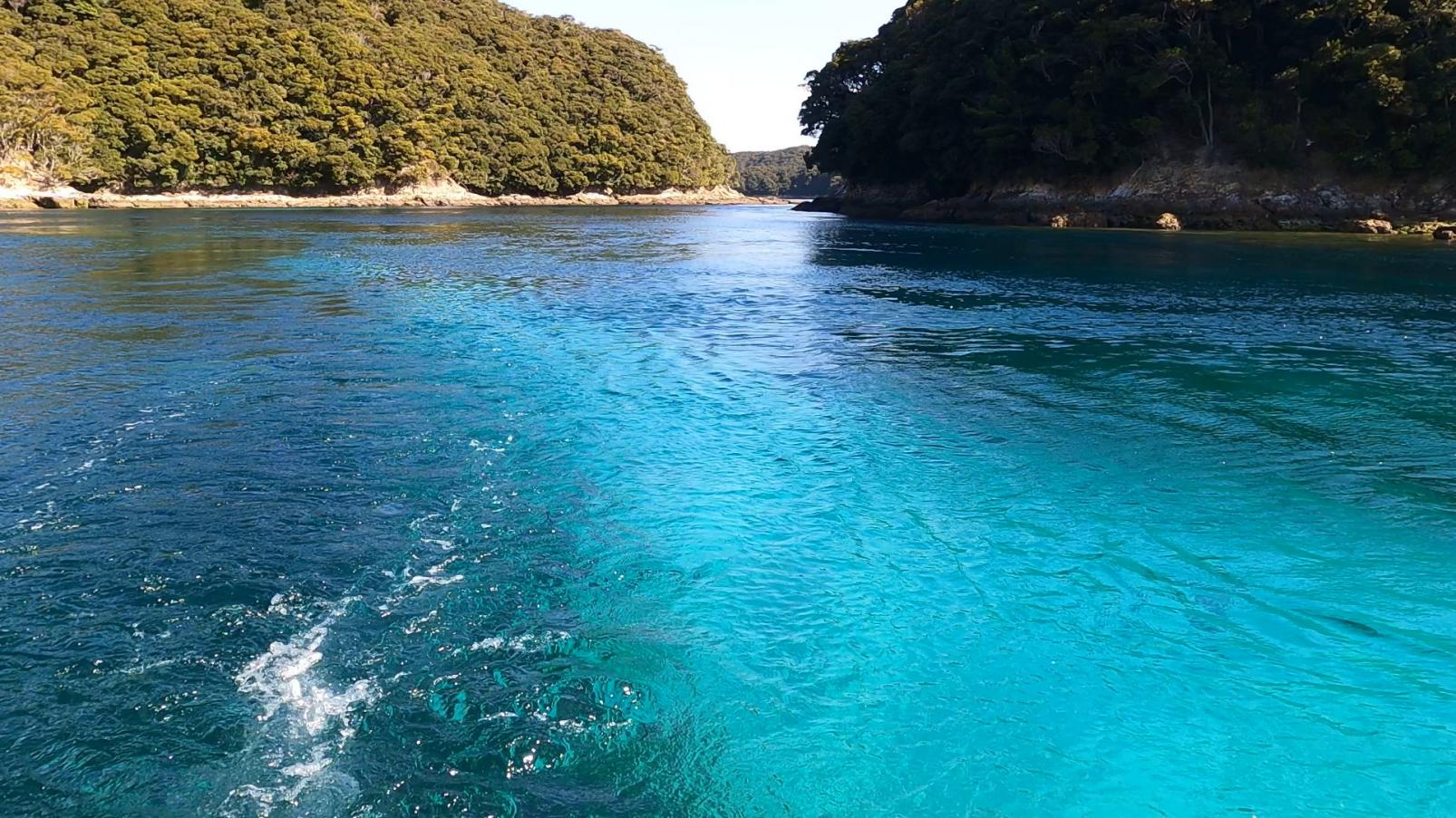 Luxury Sightseeing Boat -Catherina--1