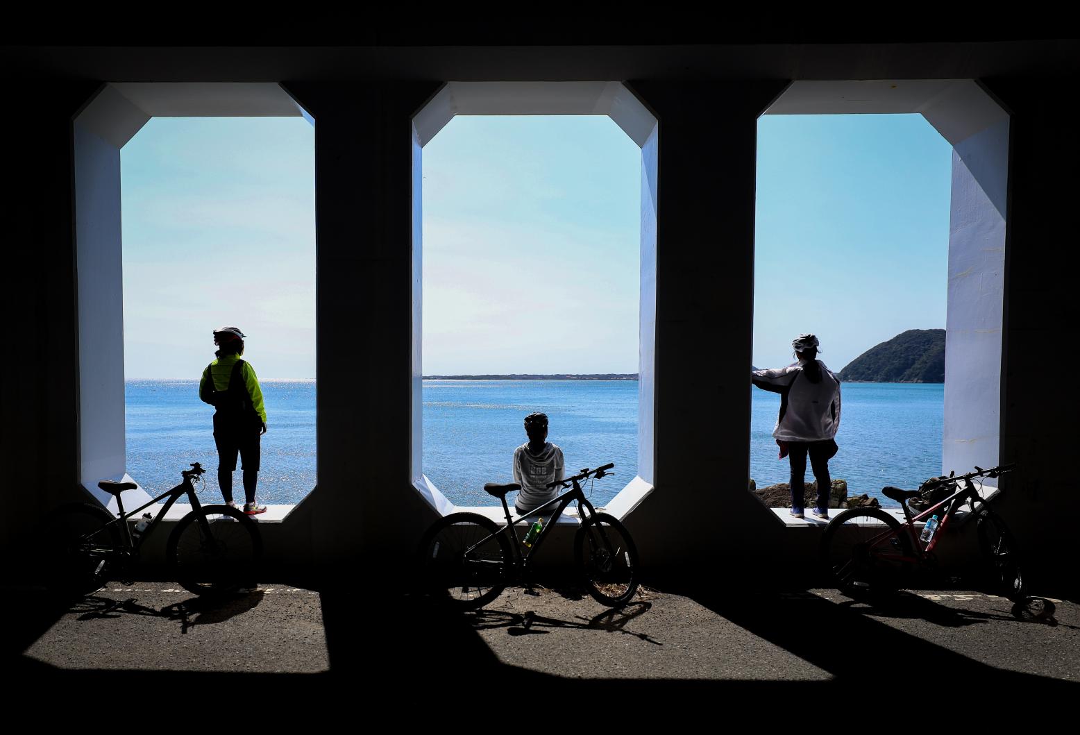 九州生まれのスポーツバイクでサイクリング体験 体験 【公式】長崎