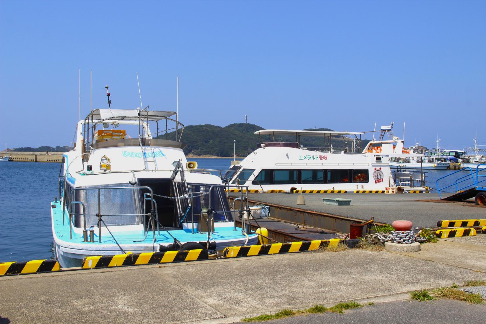 巡遊辰之島-9