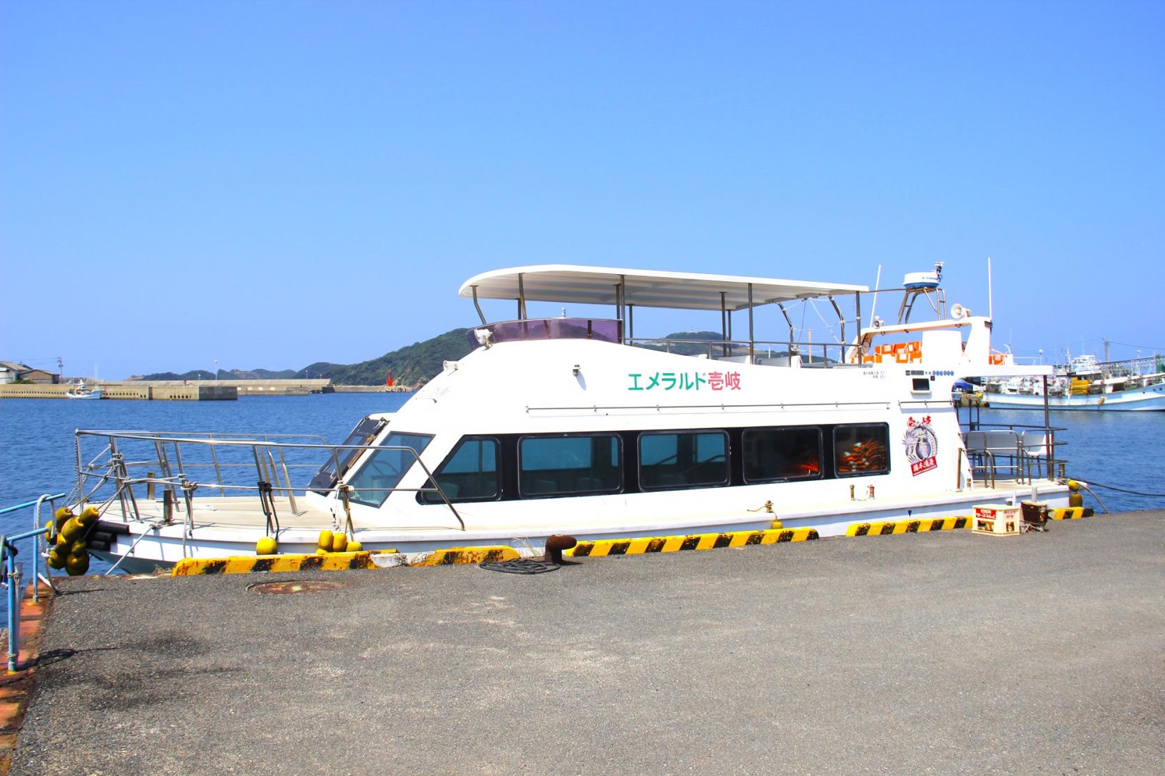 巡遊辰之島-8