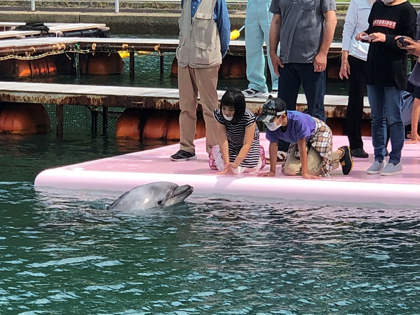 間近でイルカに会える！イルカガイドツアー-1