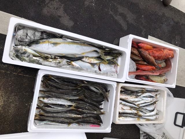 玄界灘！現役漁師と漁業体験-1