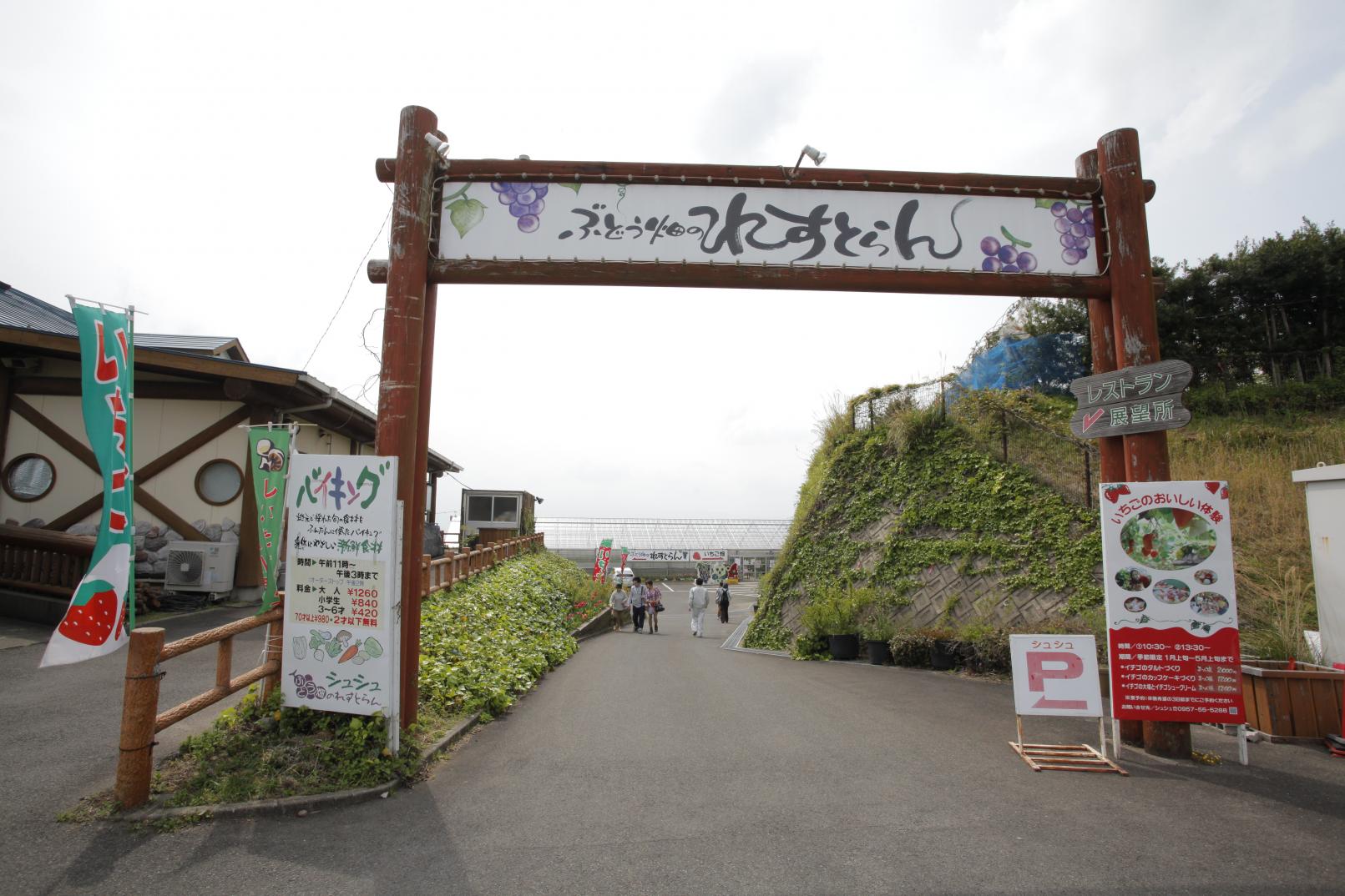 Omura Dream Farm ChouChou-1