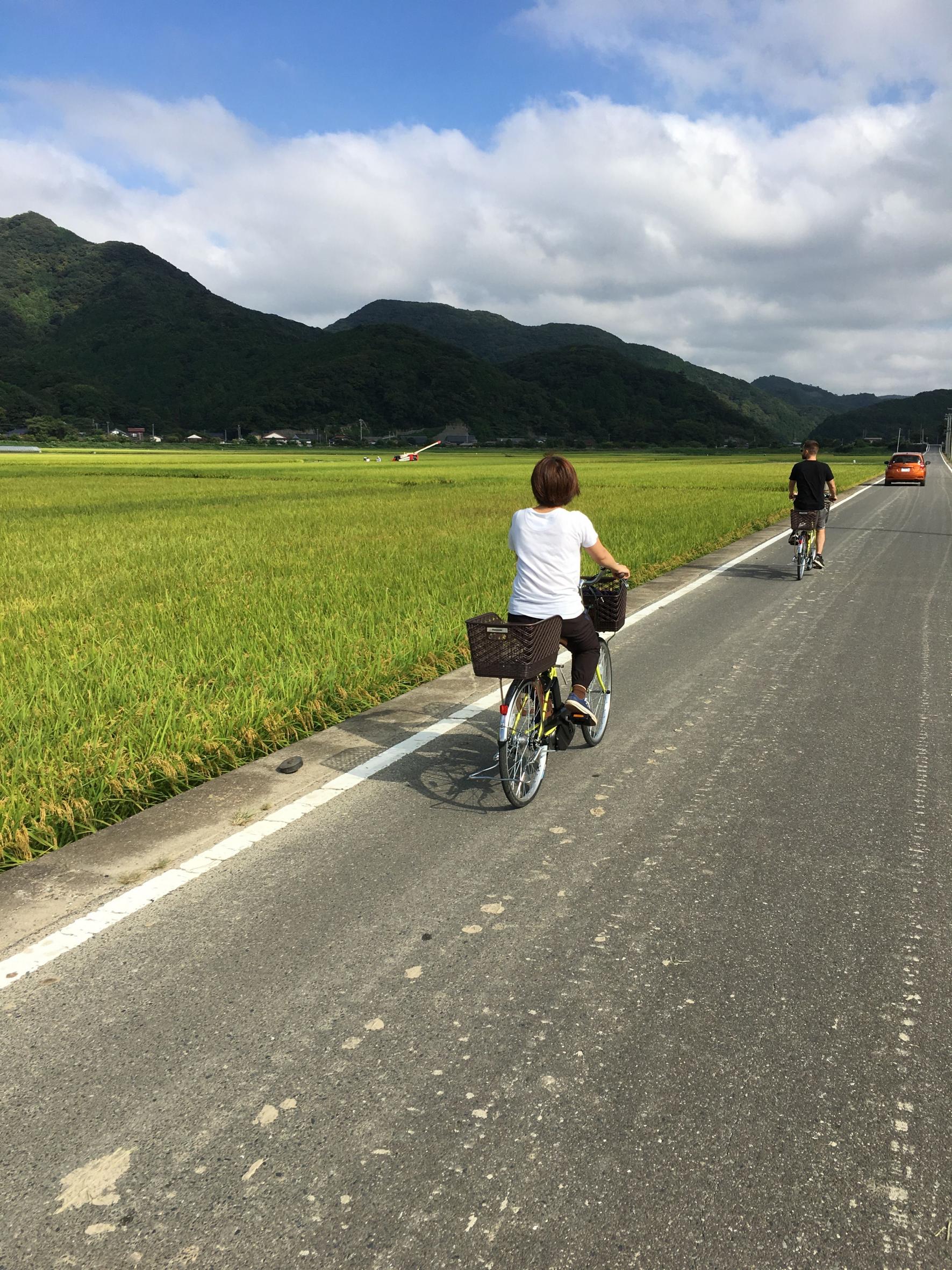 紅茶づくり体験とヤマネコの里サイクリング-2