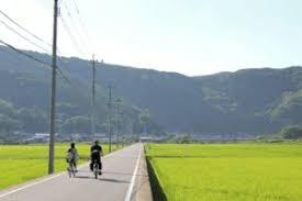 紅茶づくり体験とヤマネコの里サイクリング-0