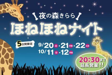 【九十九島動植物森きらら】夜の森きらら　ほねほねナイト-1