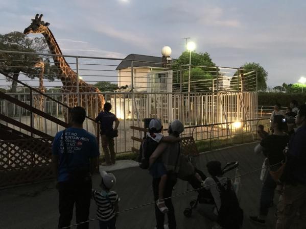 【九十九島動植物森きらら】夜の森きらら　ほねほねナイト-1