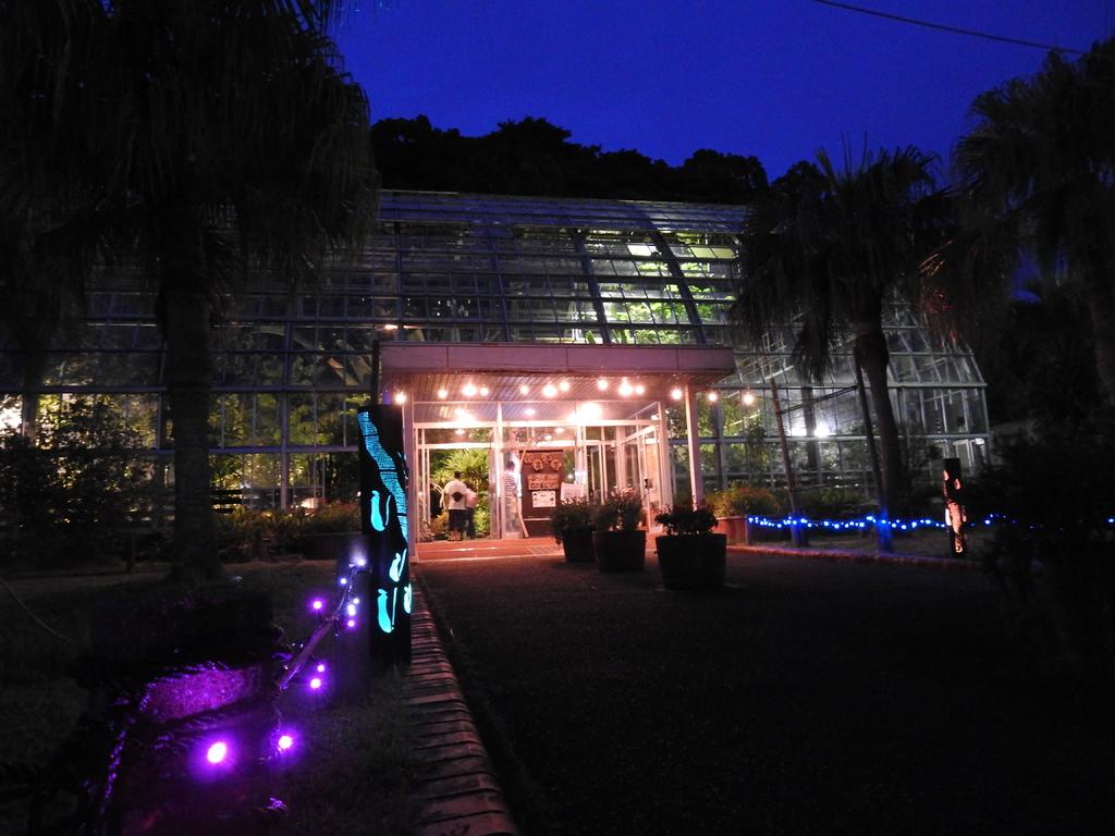【九十九島動植物森きらら】夜の森きらら　ほねほねナイト-3