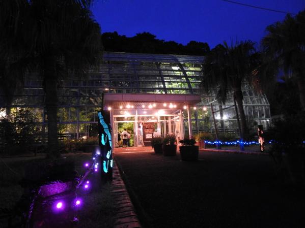 【九十九島動植物森きらら】夜の森きらら　ほねほねナイト-3