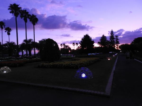 【九十九島動植物森きらら】夜の森きらら　ほねほねナイト-2
