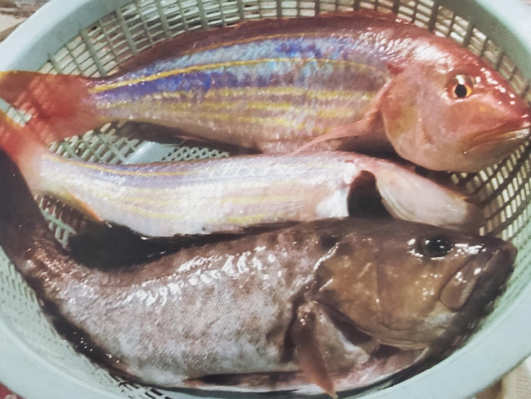 銀杏の宿（郷土料理つくり・そば打ち・釣り体験）-3