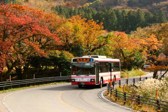 UNZEN・SHIMABARA FREE PASS (1day / 2days)-2