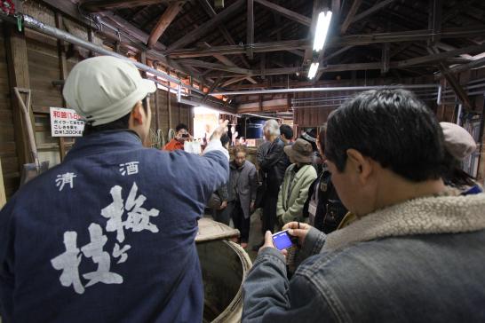 Umegae Sake Brewery Open Warehouse Spring-5