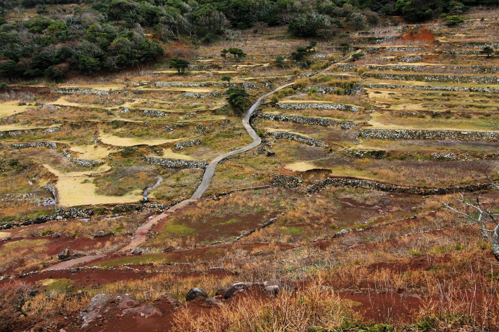 野崎島-2