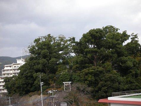 滑石大神宮社叢-0