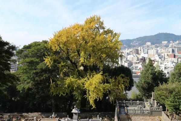 大音寺-2