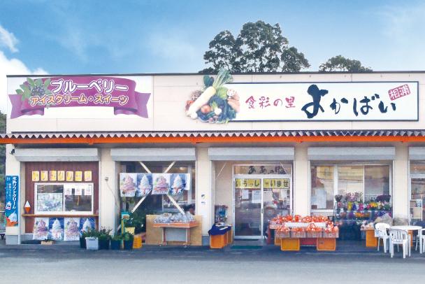 YOKABAI AINOURA-1