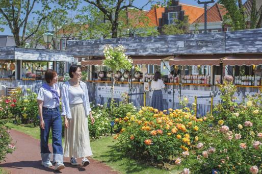 Huis Ten Bosch One-Million Rose Festival-2