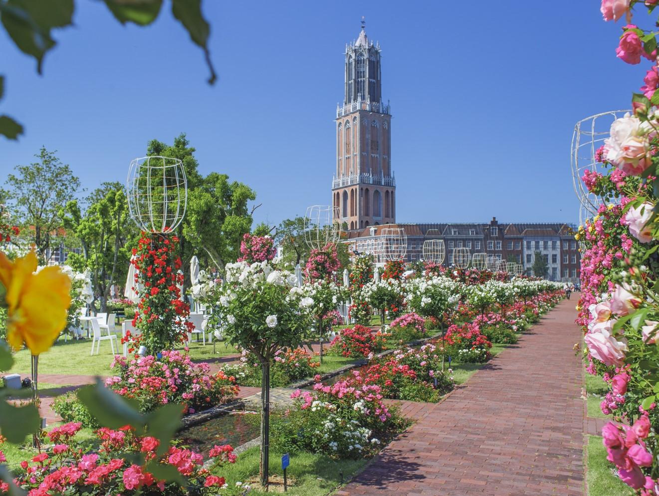 Huis Ten Bosch One-Million Rose Festival-1