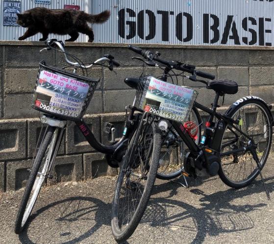 Rental motorbikes and rental bicycles-1