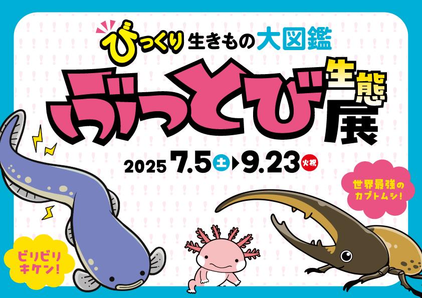 【九十九島水族館海きらら夏の特別展】びっくり生きもの大図鑑「ぶっとび生態展」！～-1