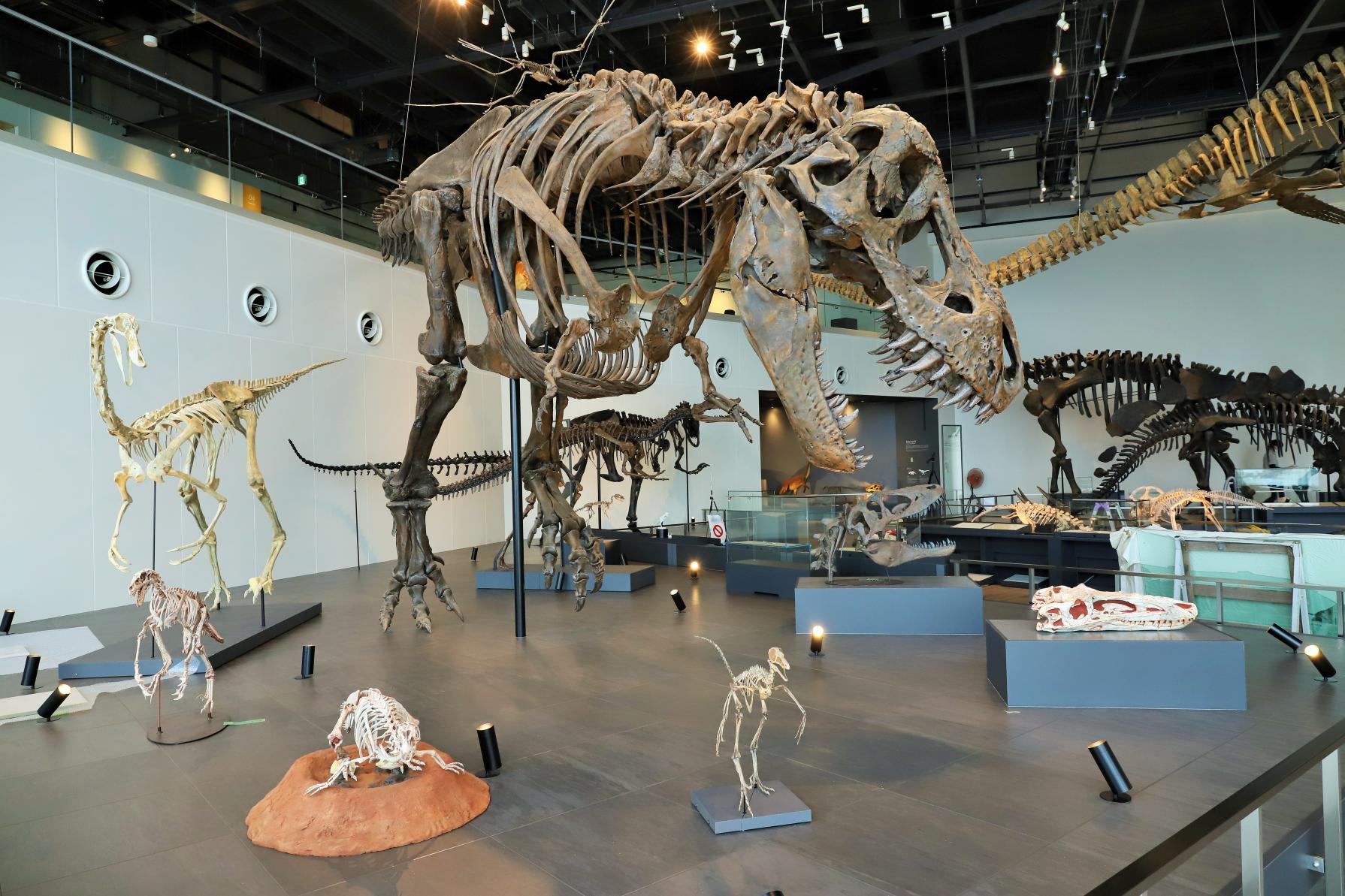 長崎市恐竜博物館-0