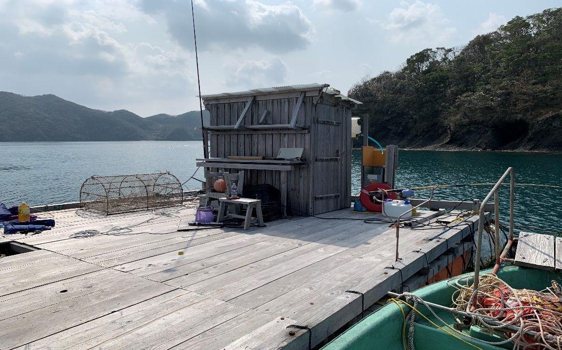 いかだや磯で海遊び体験（釣り、ろこぎ）-1