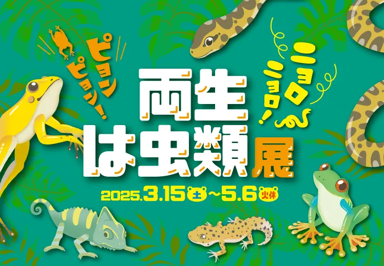 【九十九島動物園森きらら春の特別展】ニョロニョロ！ピョンピョン！両生・は虫類展-0