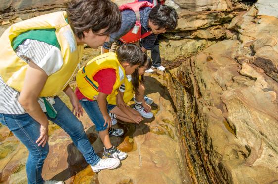 無人島上陸とSDGs体験クルーズ-4