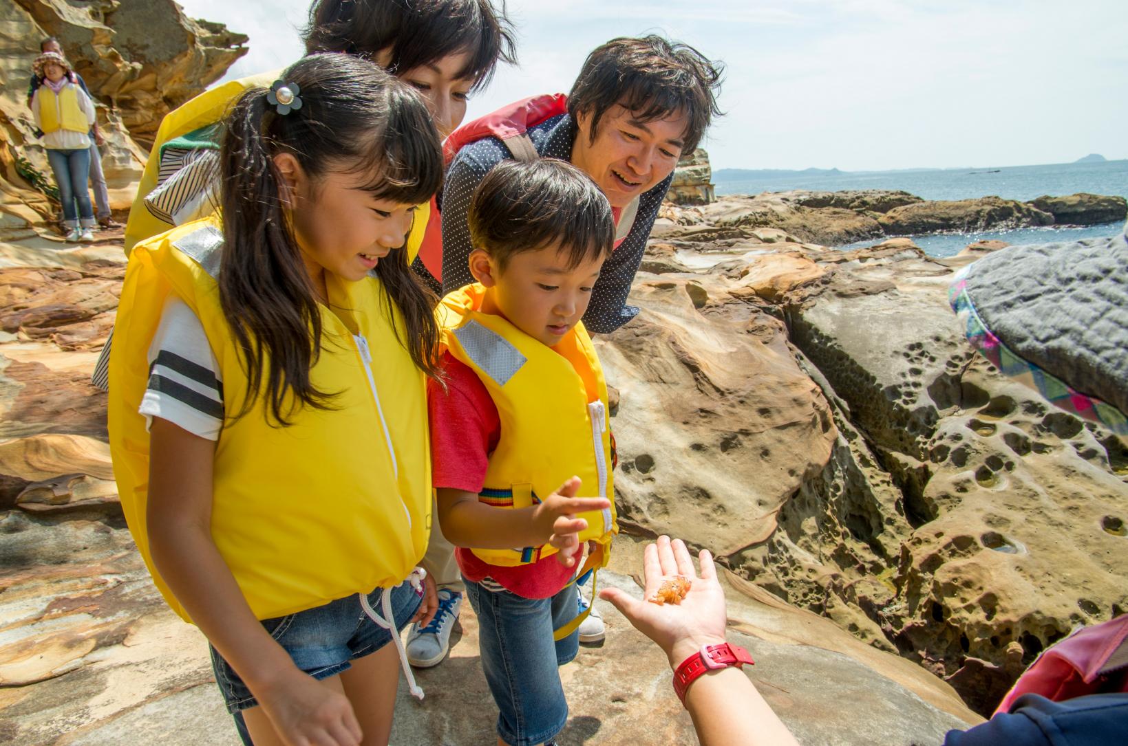 登陆无人岛＆维护海洋环境之旅-8